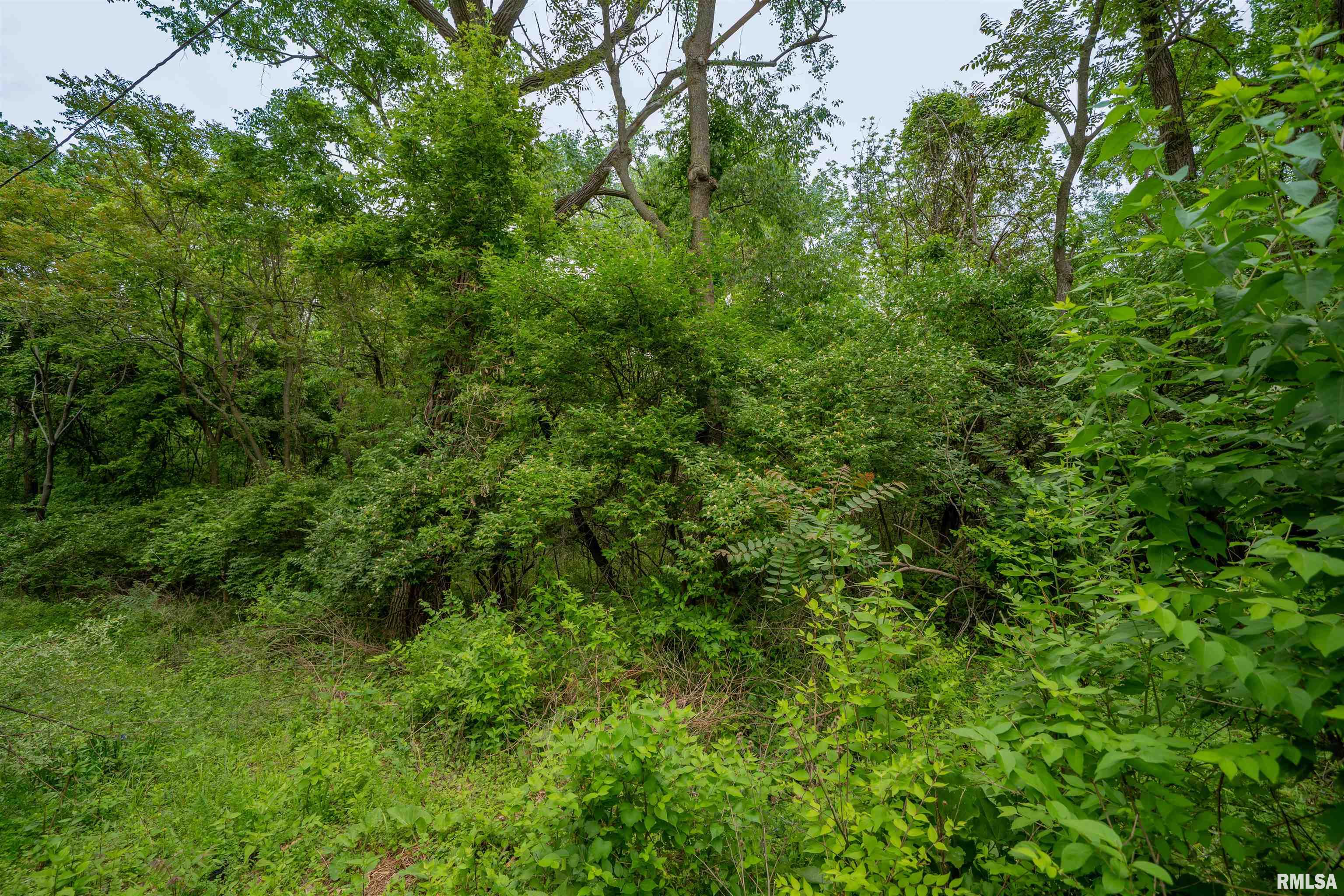 N Stewart Street, Creve Coeur, Illinois image 9
