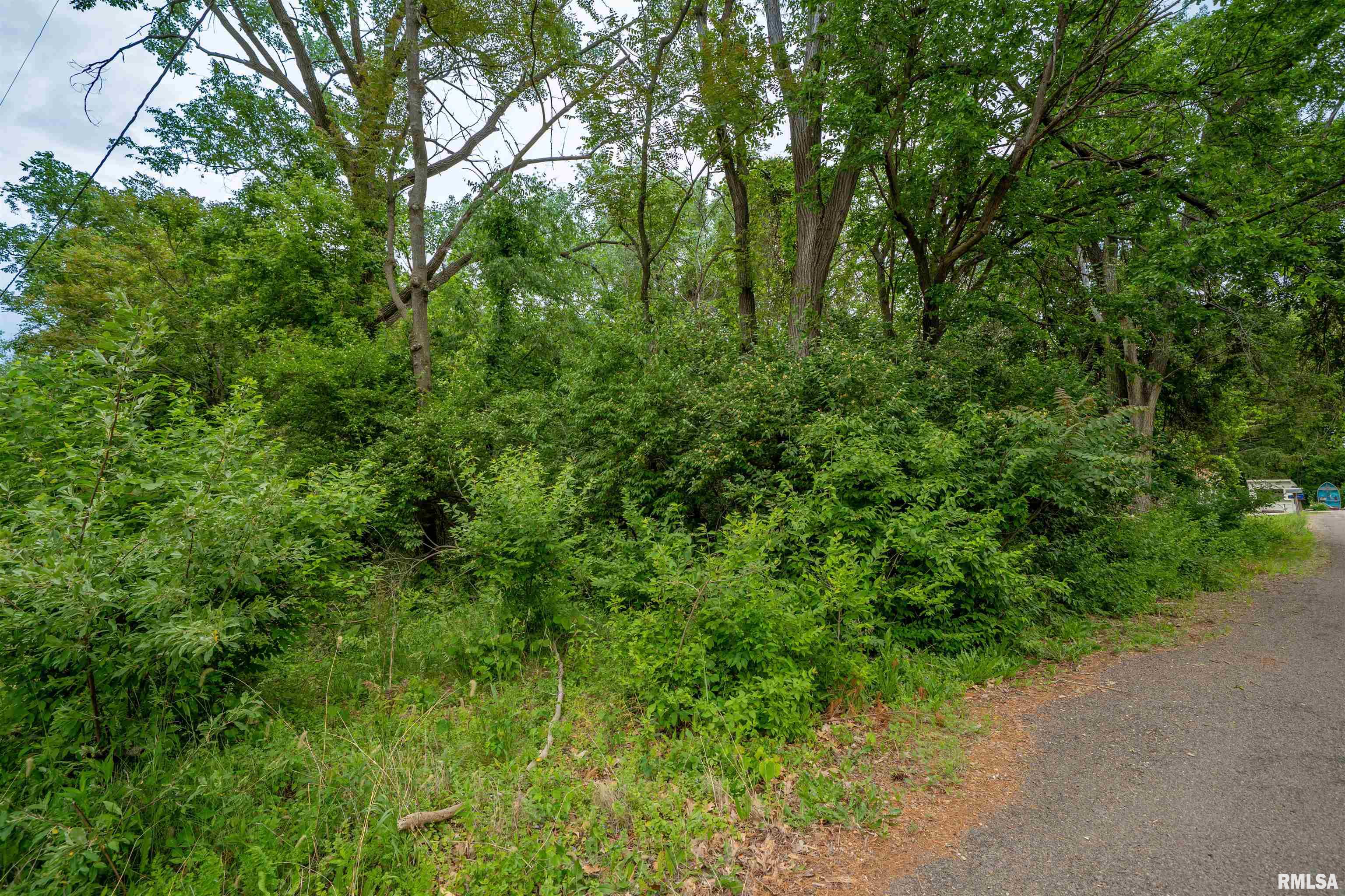 N Stewart Street, Creve Coeur, Illinois image 8