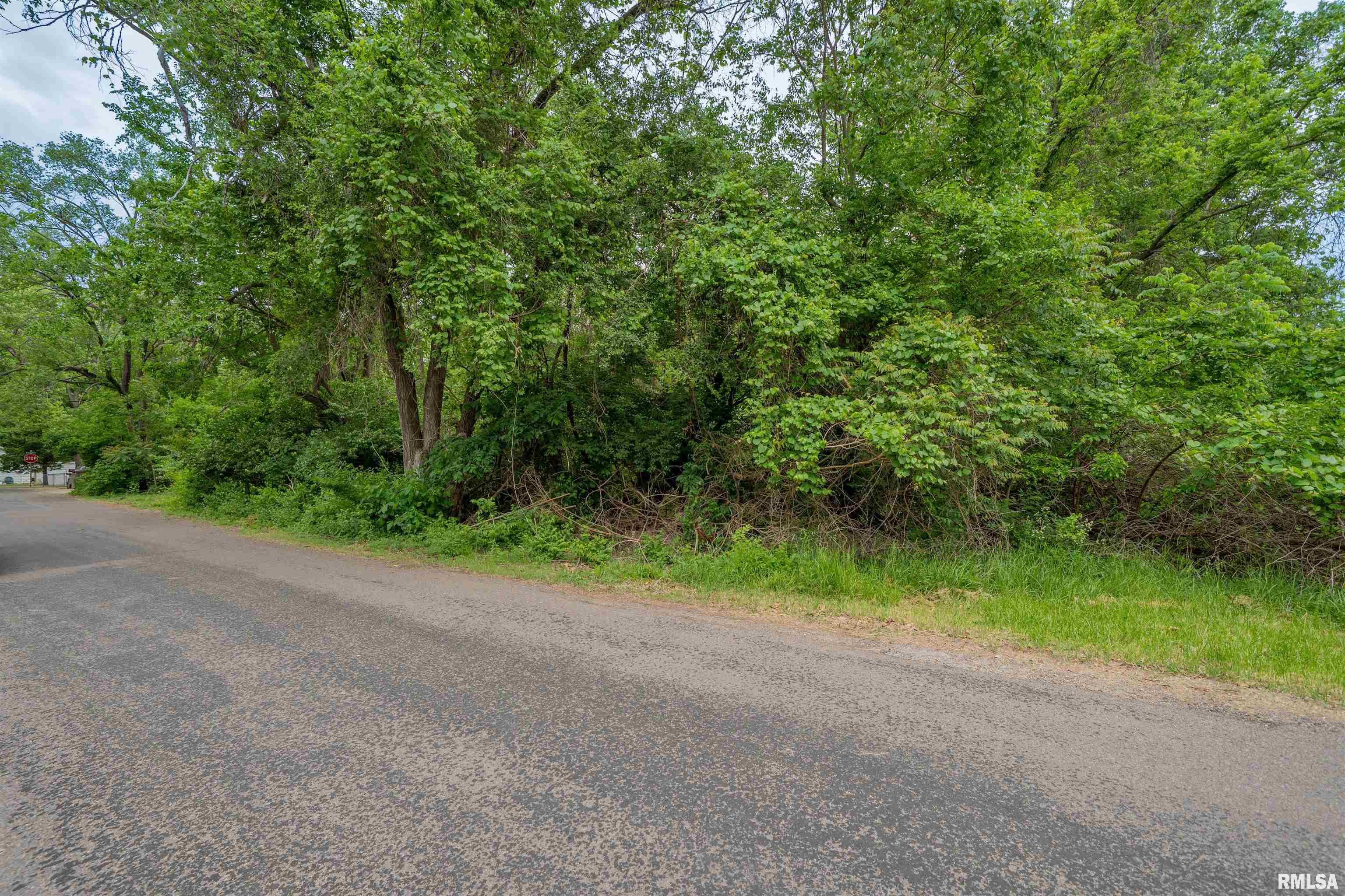 N Stewart Street, Creve Coeur, Illinois image 11