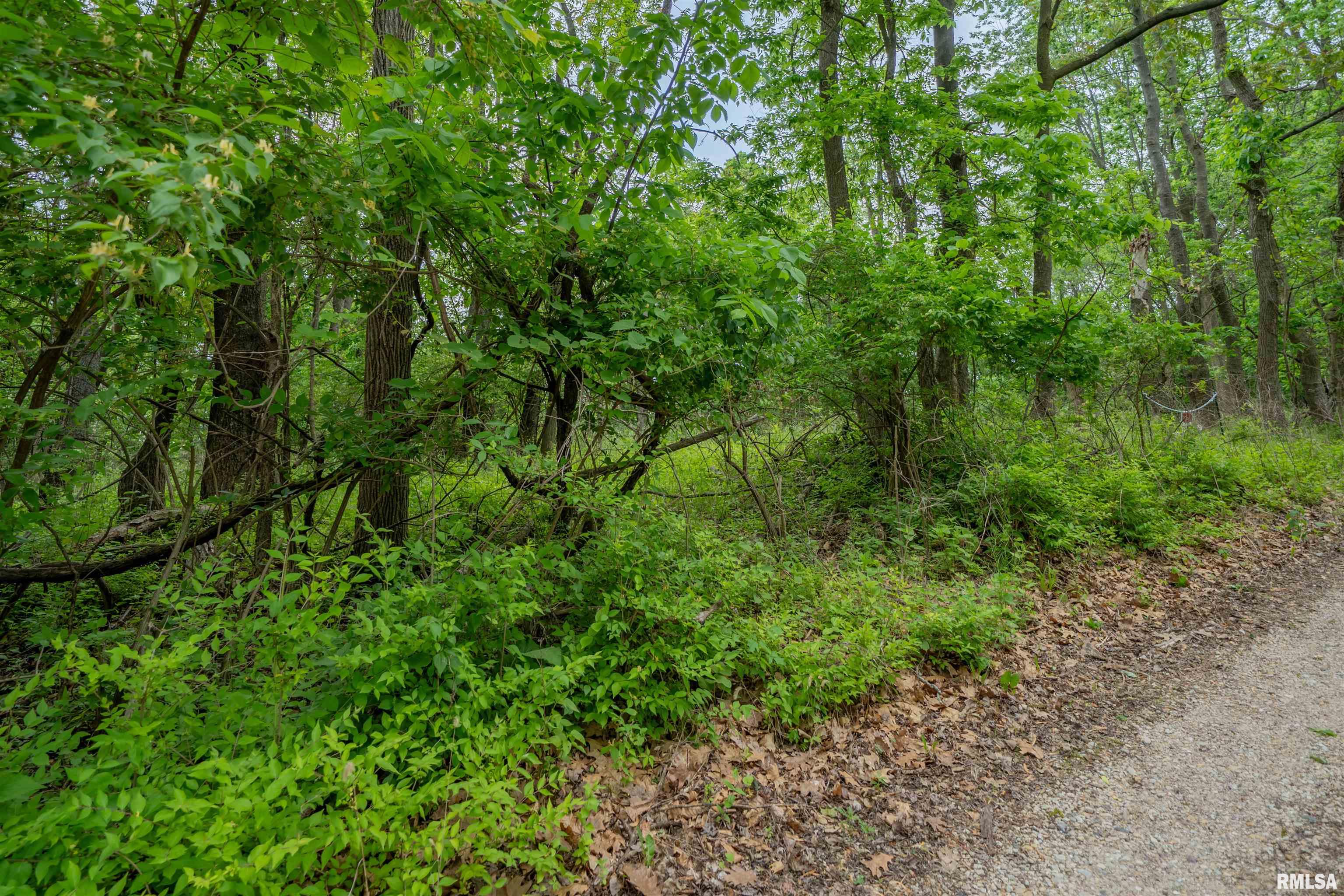 N Stewart Street, Creve Coeur, Illinois image 1