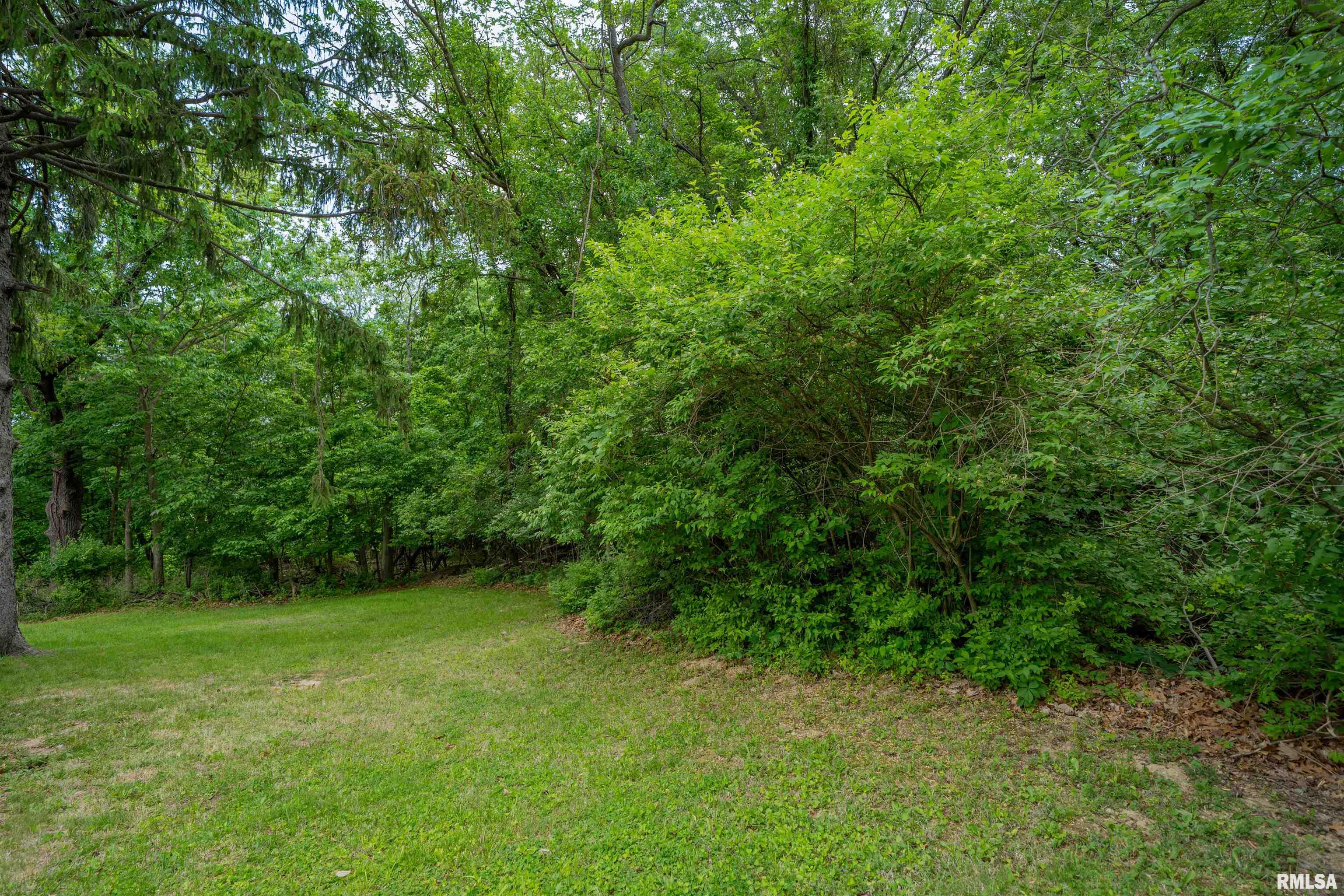 N Stewart Street, Creve Coeur, Illinois image 12