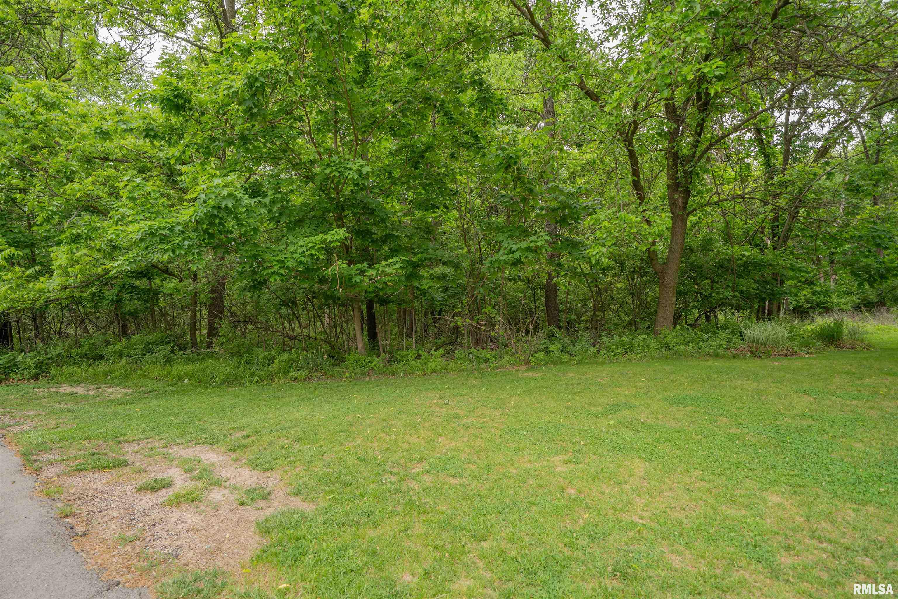 N Stewart Street, Creve Coeur, Illinois image 7