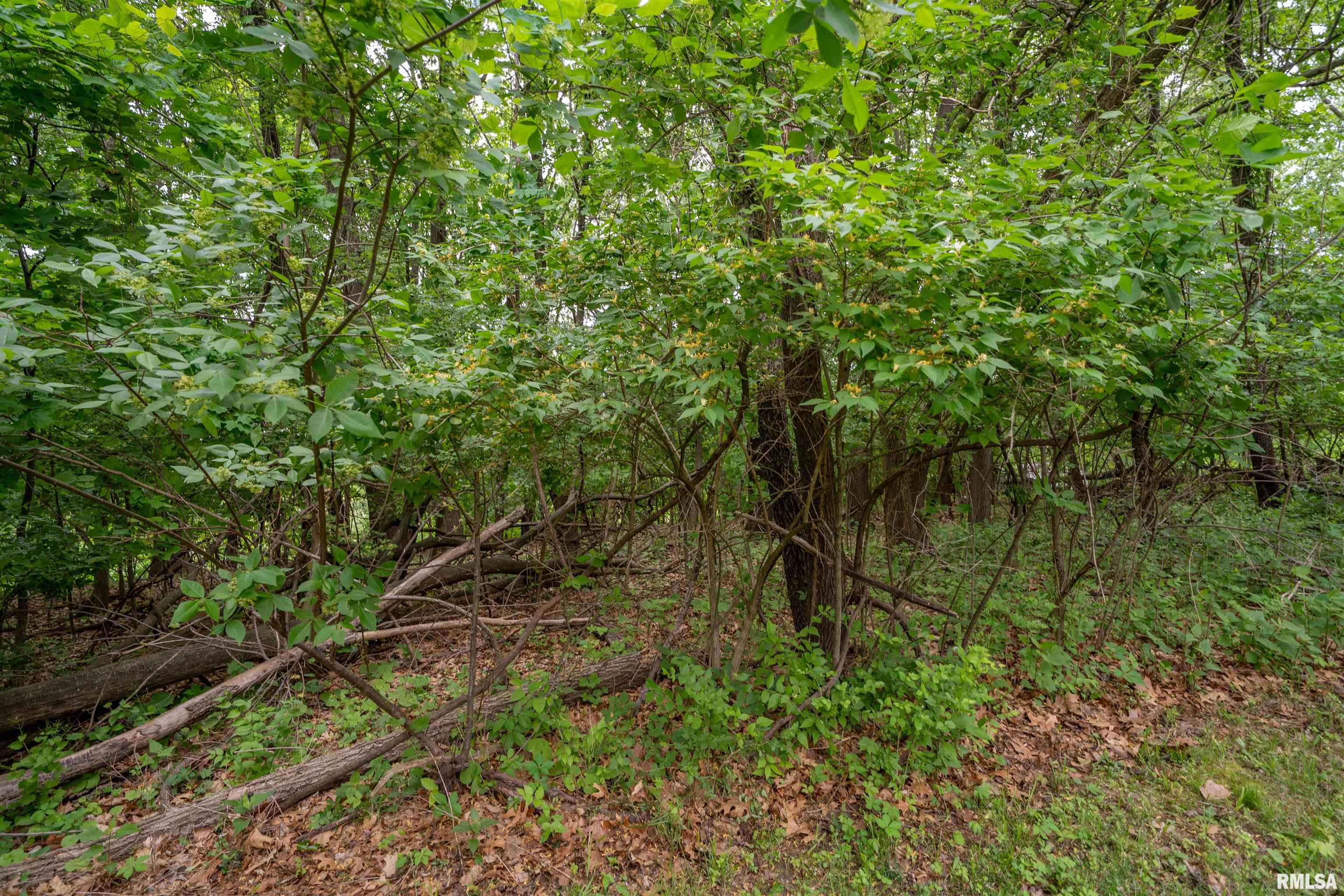 N Stewart Street, Creve Coeur, Illinois image 15