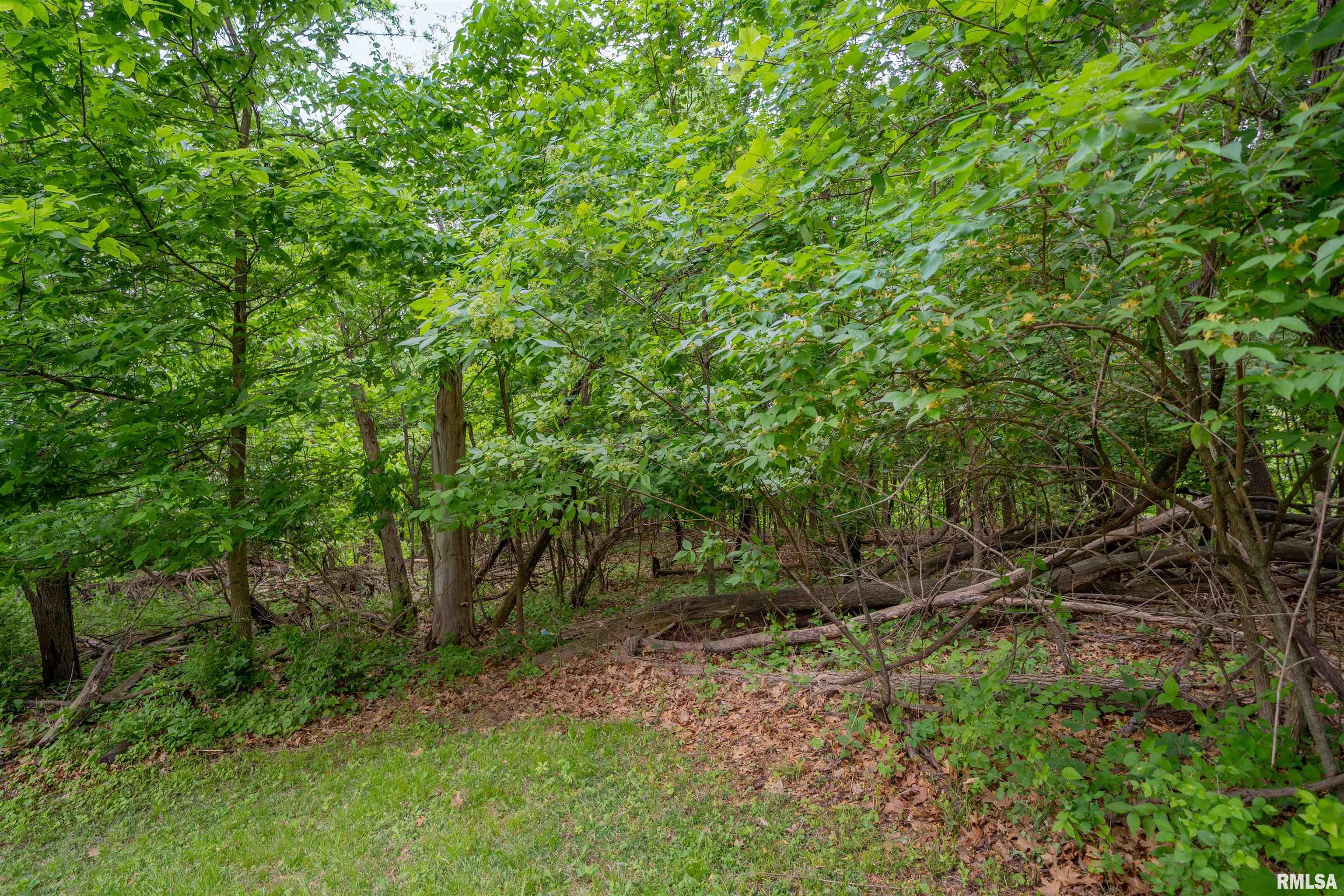 N Stewart Street, Creve Coeur, Illinois image 14