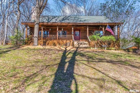 Photo of 11266 Timber View Lane, Athens, IL 62613 (MLS # CA1042871)