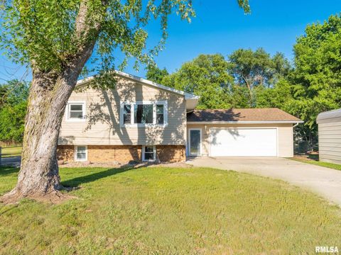 Homes For Sale - 13082 Laurel Street<br/> Tazewell County, Manito, IL 61546