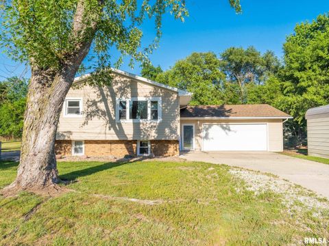 Homes For Sale - 13082 Laurel Street<br/> Tazewell County, Manito, IL 61546
