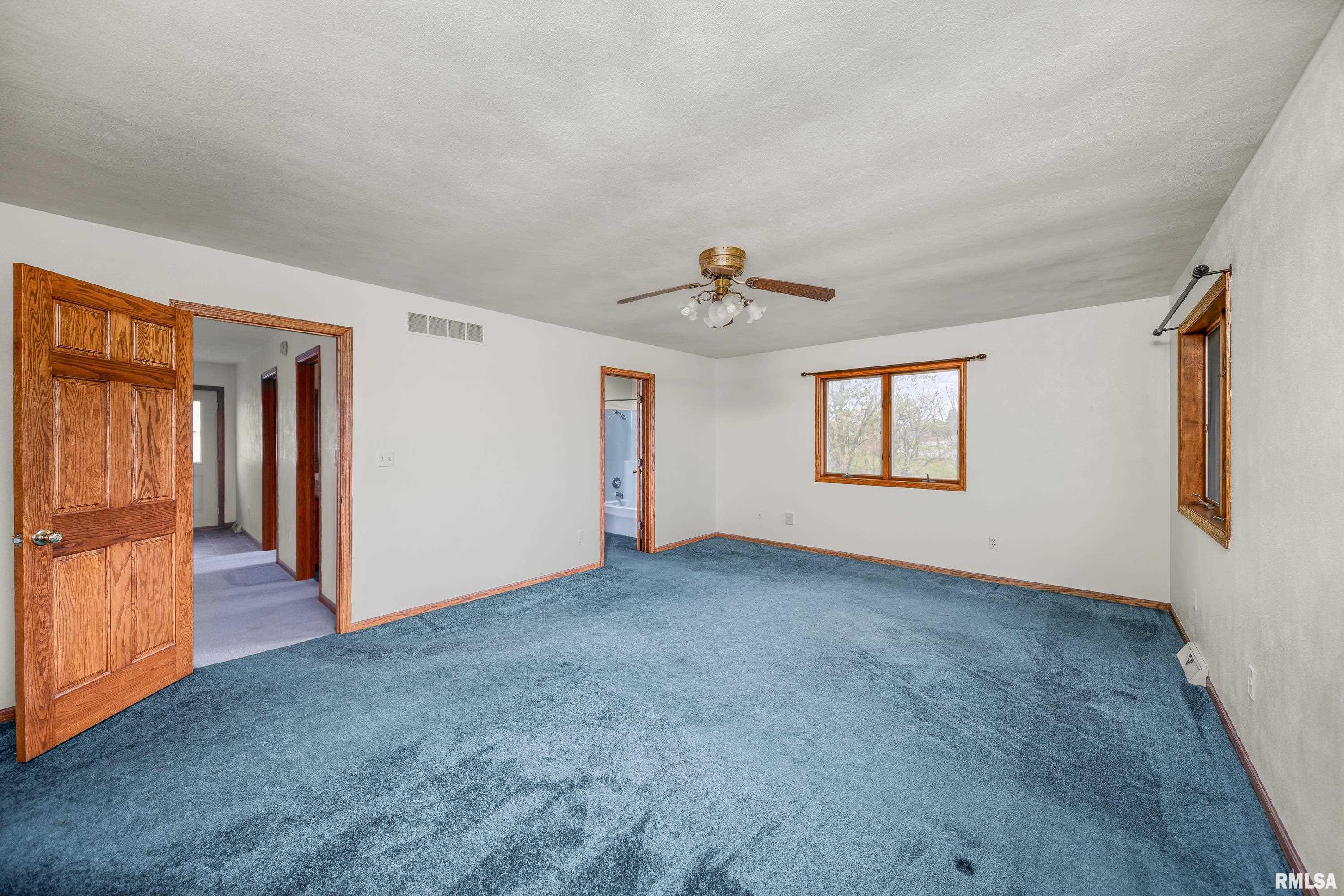 315 W Mayne Street, Blue Grass, Iowa image 28
