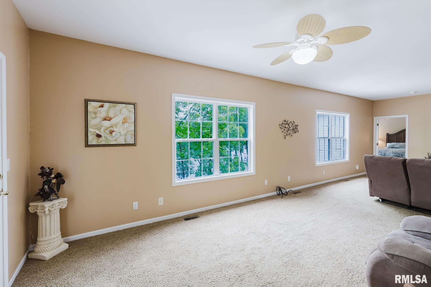 55 Kings Court, Goreville, Illinois image 20
