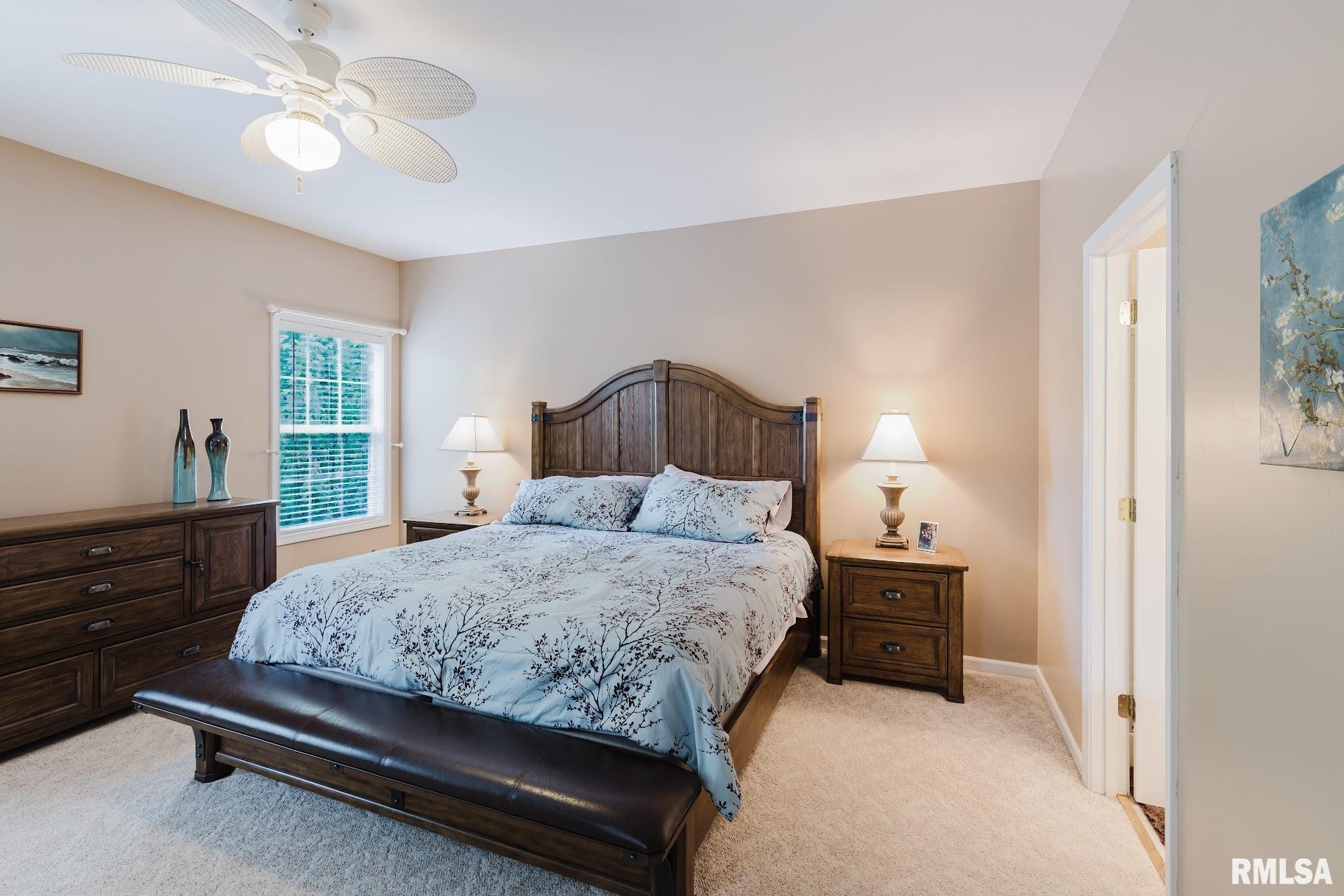 55 Kings Court, Goreville, Illinois image 27