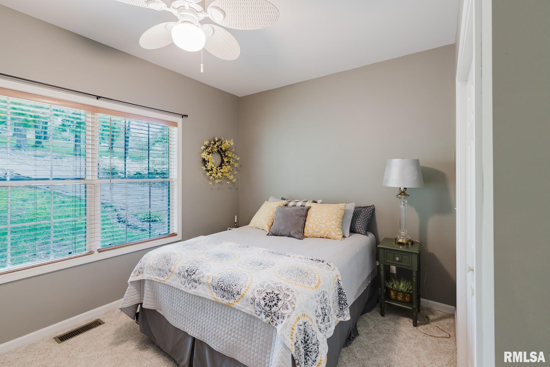 55 Kings Court, Goreville, Illinois image 36