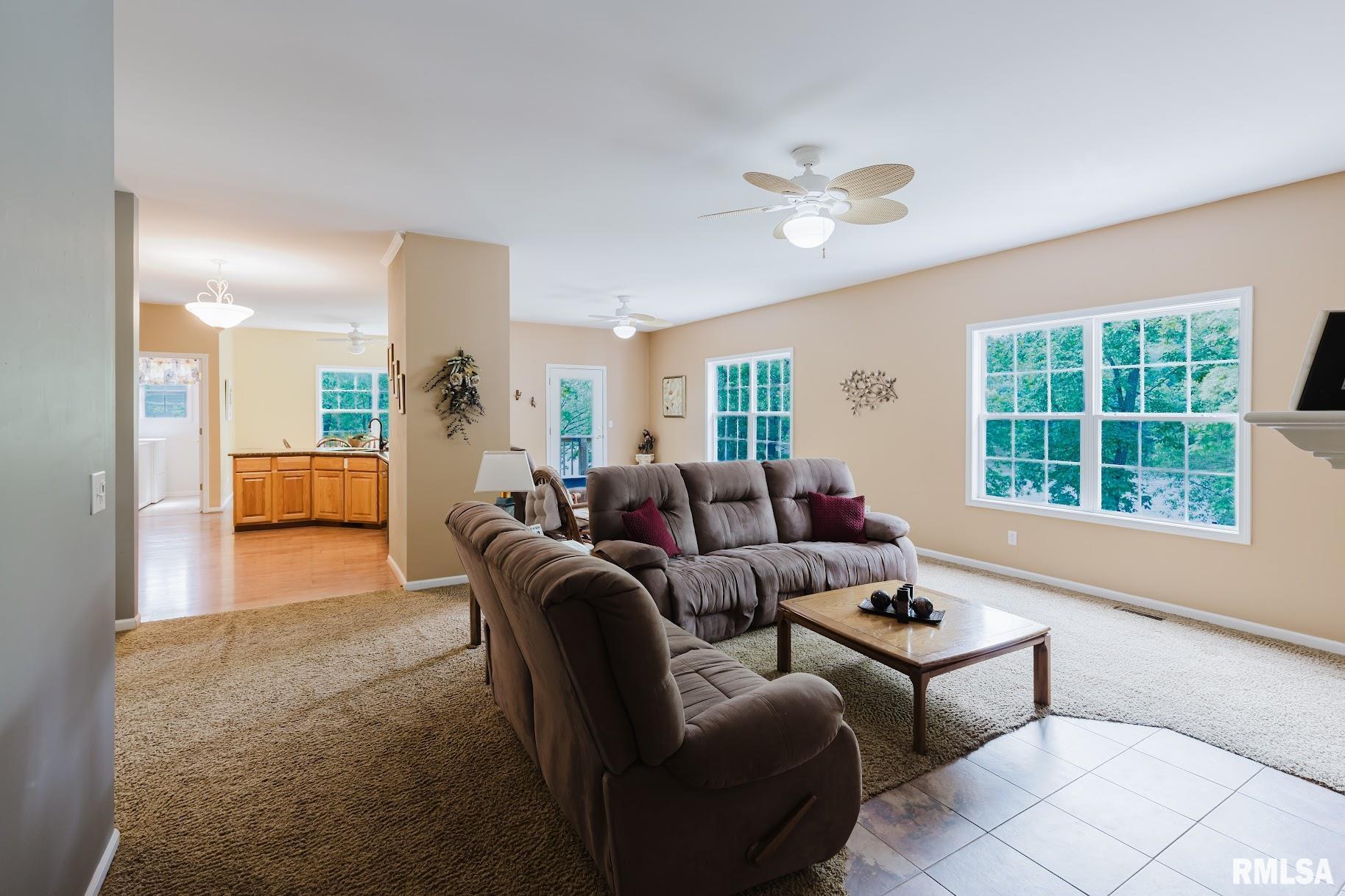 55 Kings Court, Goreville, Illinois image 22