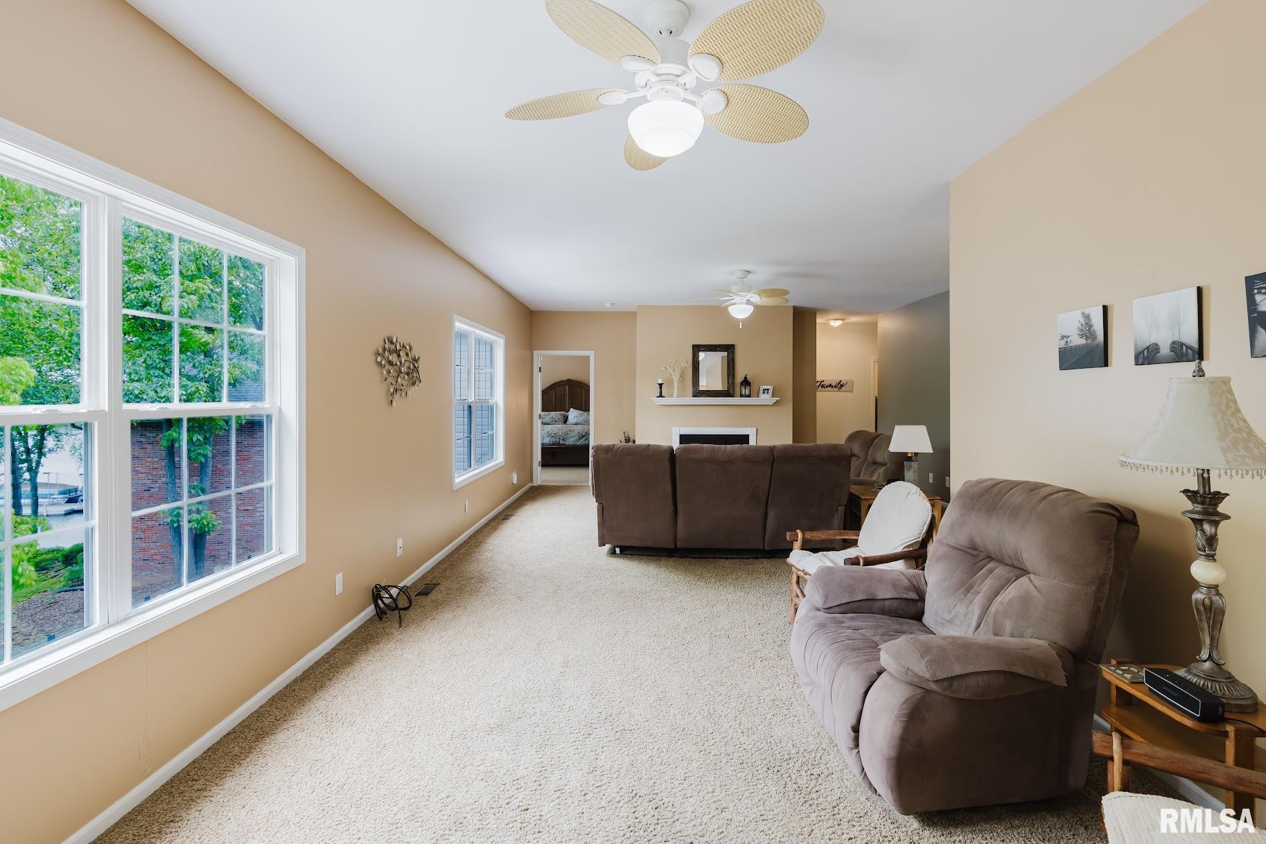 55 Kings Court, Goreville, Illinois image 21