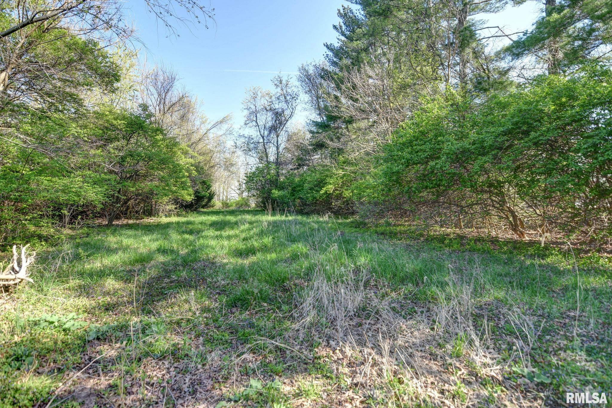 615 N Leland Lane, Taylorville, Illinois image 11