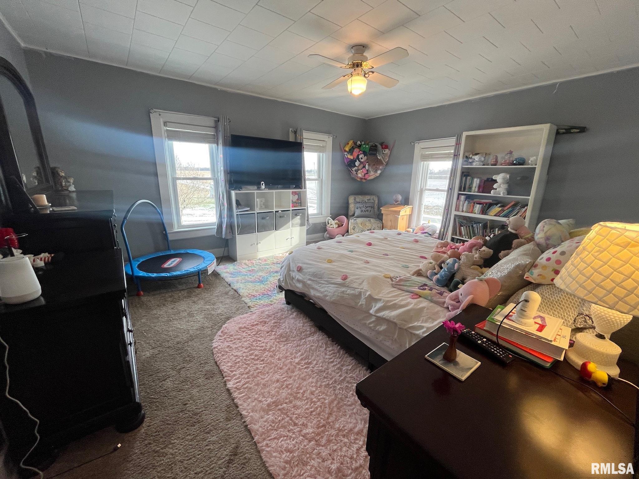 2156 Ridge Road, Reynolds, Illinois image 12