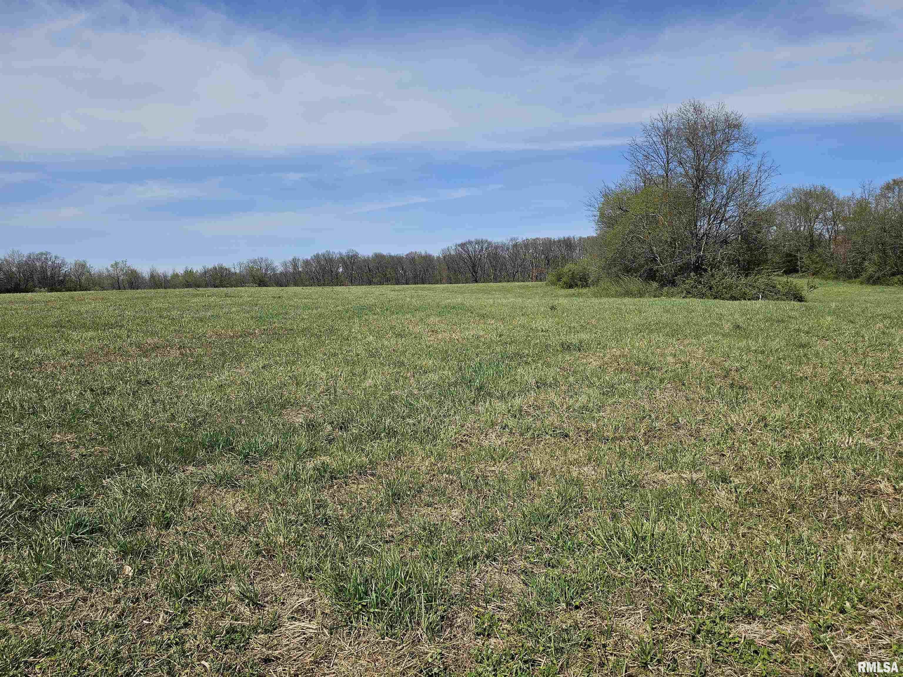 17225 Akin Blacktop Blacktop, Benton, Illinois image 7