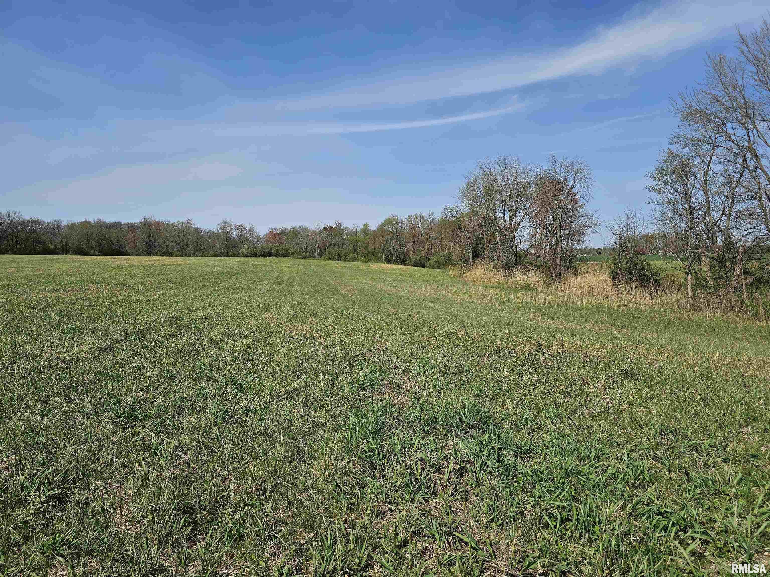 17225 Akin Blacktop Blacktop, Benton, Illinois image 13