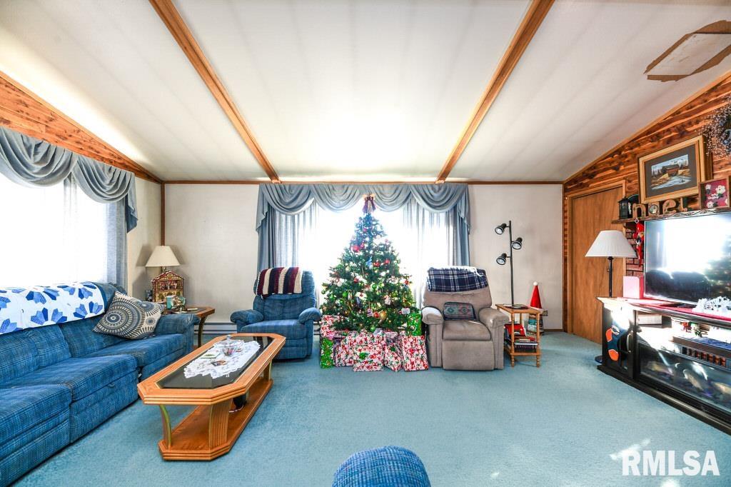 15111 Christmas Tree Road, Green Valley, Illinois image 14