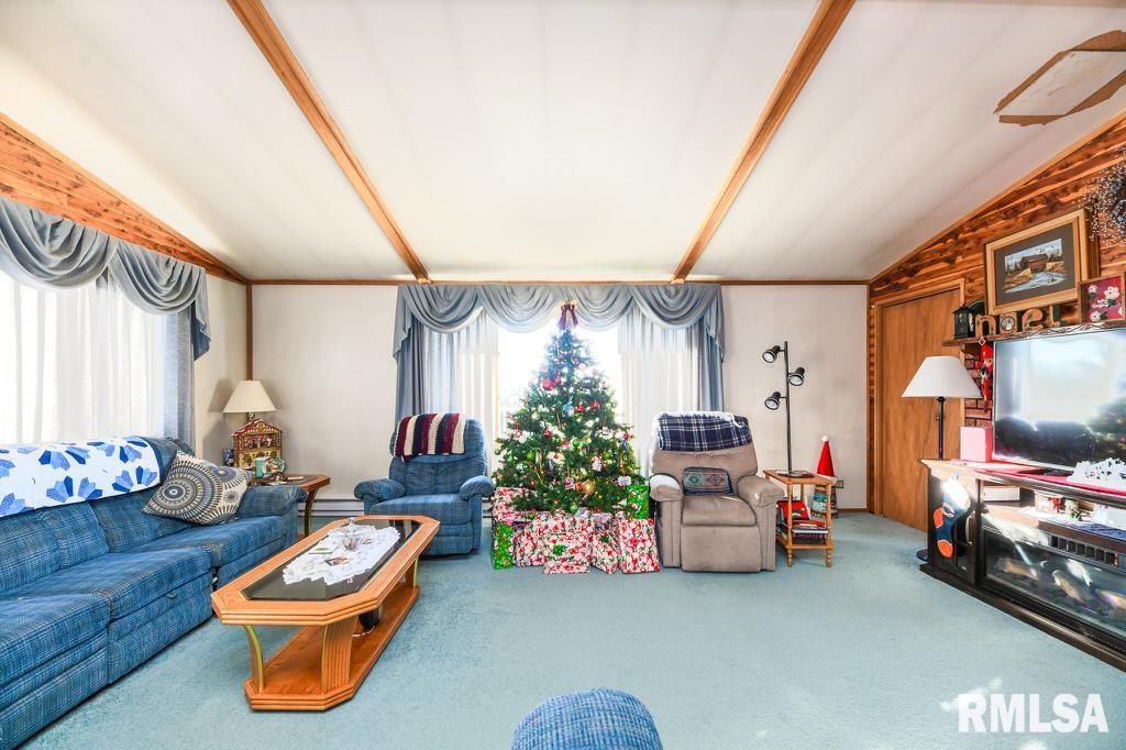 15111 Christmas Tree Road, Green Valley, Illinois image 15