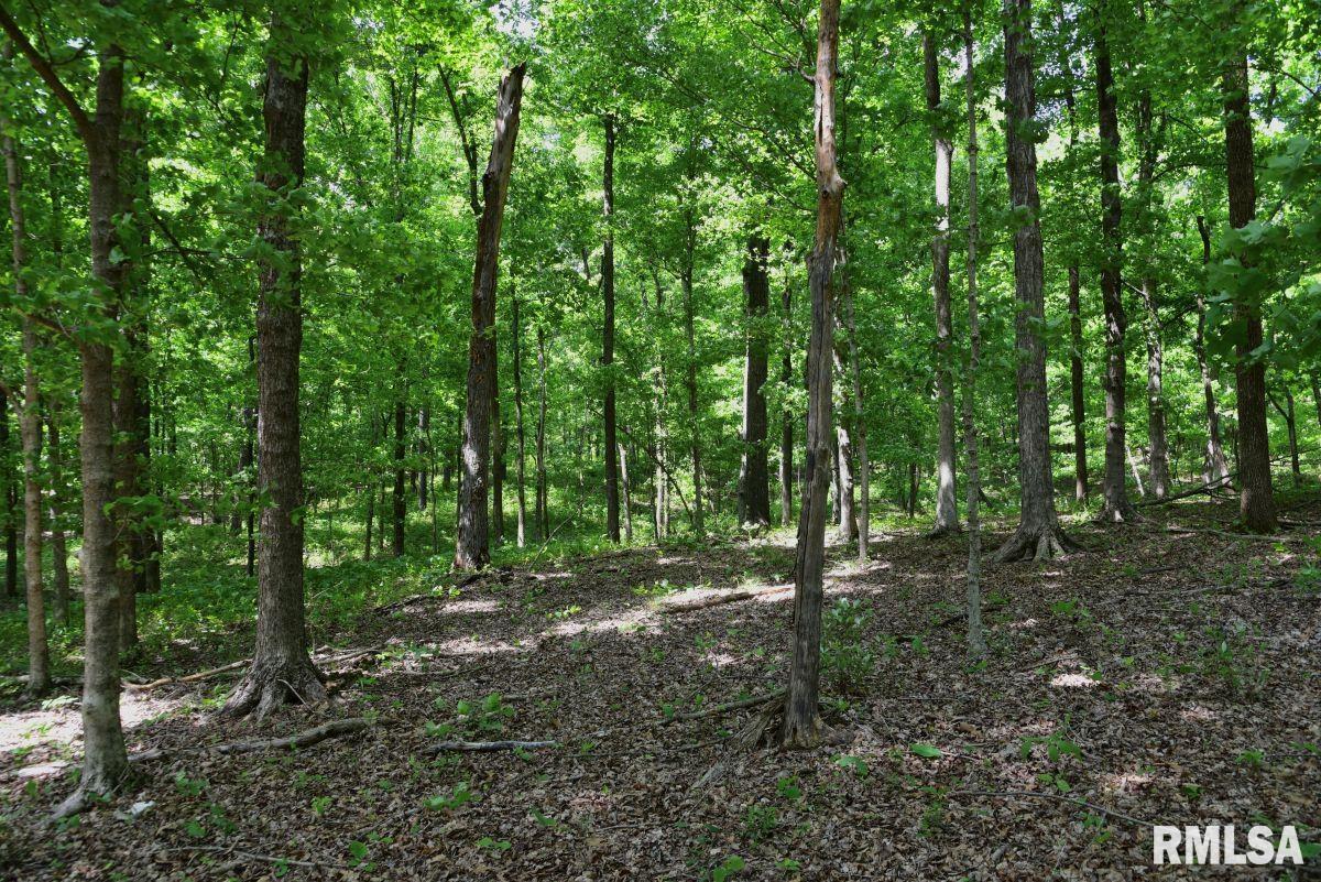 004 Battleford Road, Stonefort, Illinois image 12