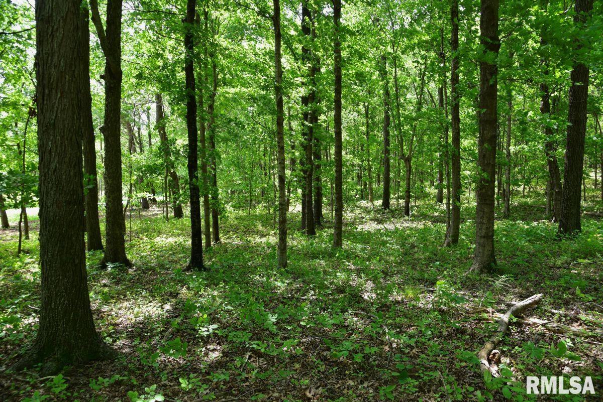 004 Battleford Road, Stonefort, Illinois image 17