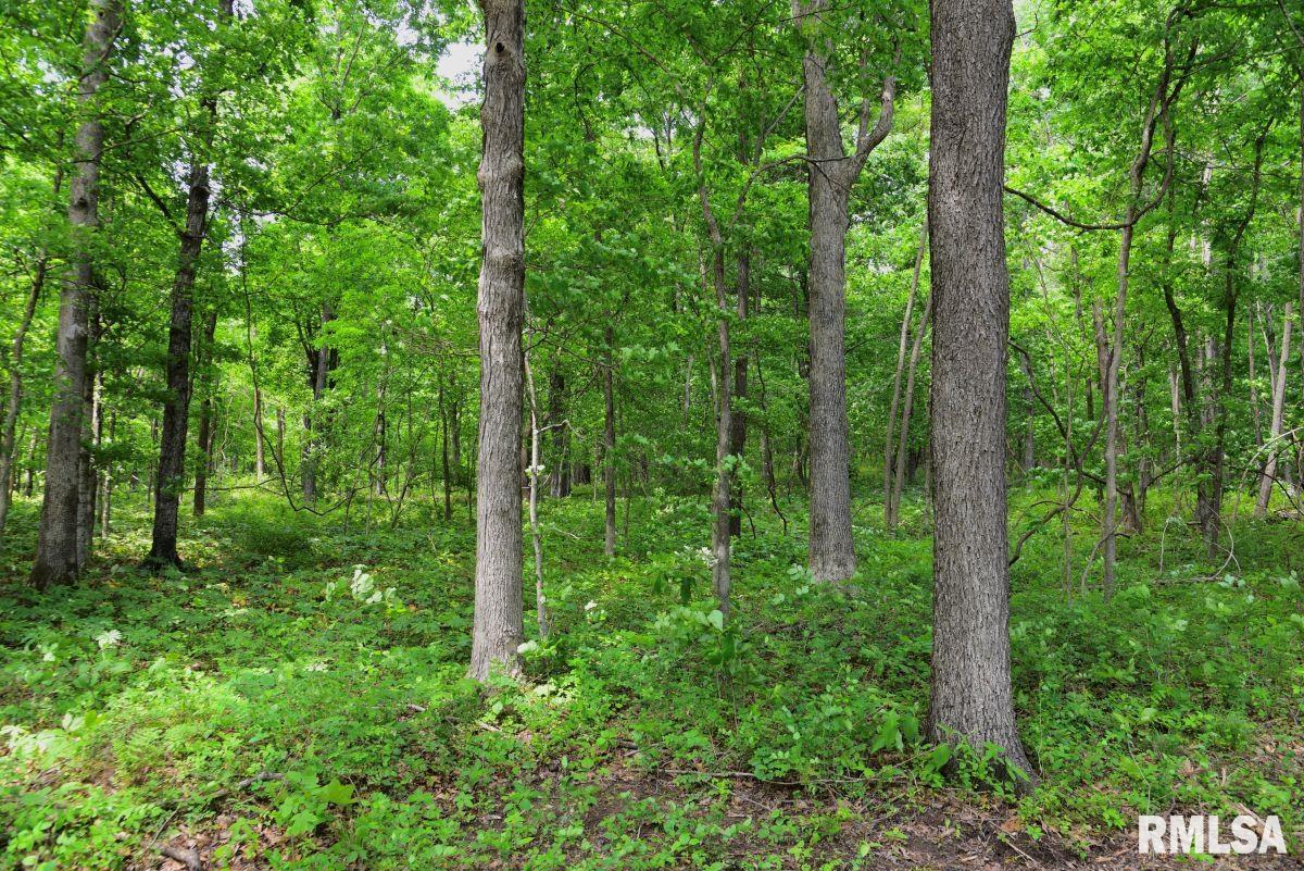 004 Battleford Road, Stonefort, Illinois image 6