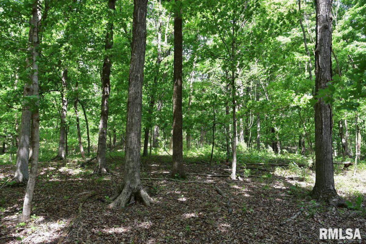 004 Battleford Road, Stonefort, Illinois image 7