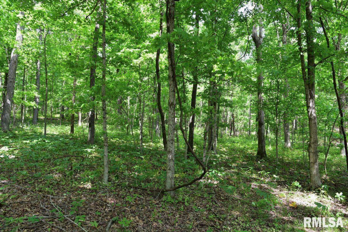 004 Battleford Road, Stonefort, Illinois image 19