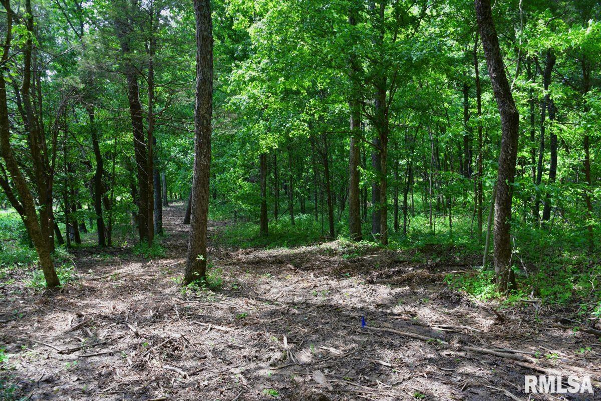 004 Battleford Road, Stonefort, Illinois image 3