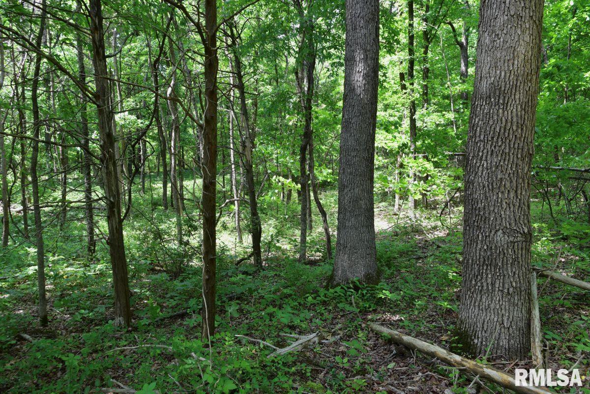 004 Battleford Road, Stonefort, Illinois image 15