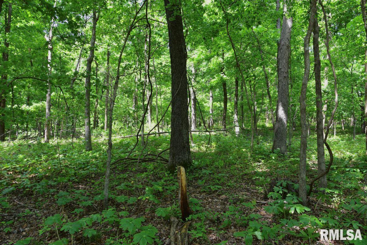 004 Battleford Road, Stonefort, Illinois image 16