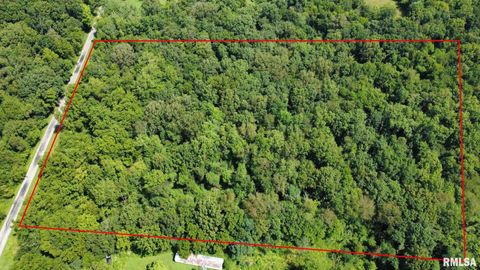 Vacant Land For Sale - 000 Cedar Hill Road<br/> West Frankfort, IL 62896