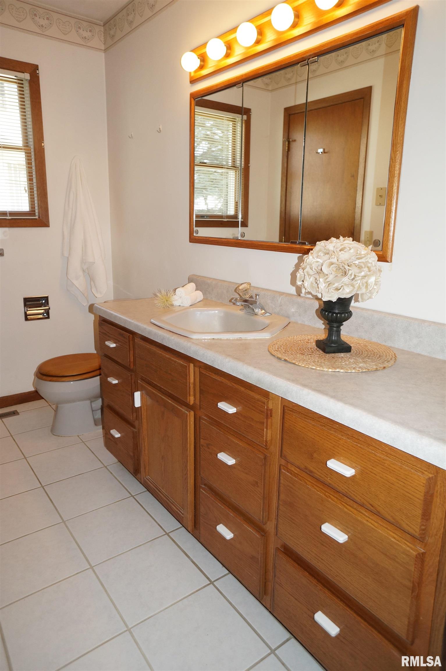 861 Hanford Street, Geneseo, Illinois image 13