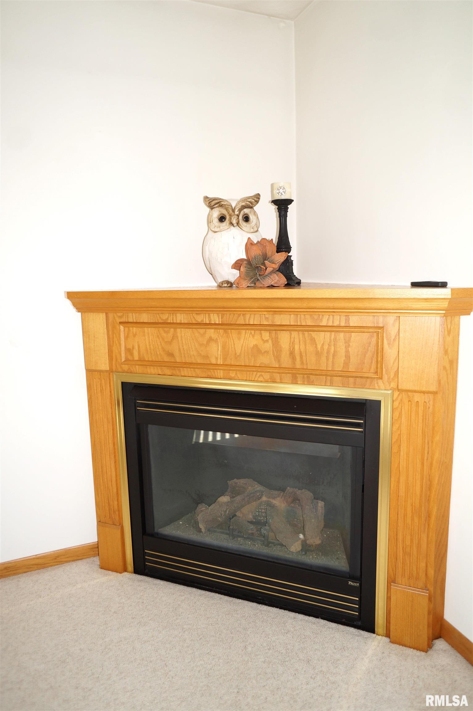861 Hanford Street, Geneseo, Illinois image 18