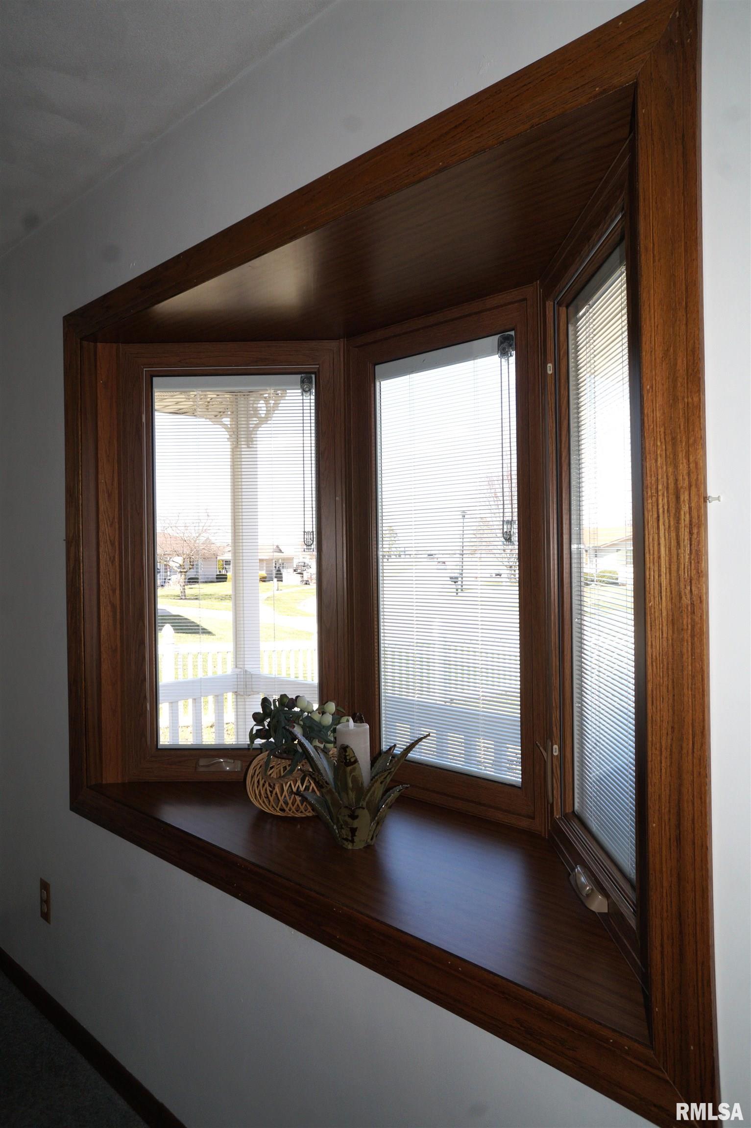 861 Hanford Street, Geneseo, Illinois image 10