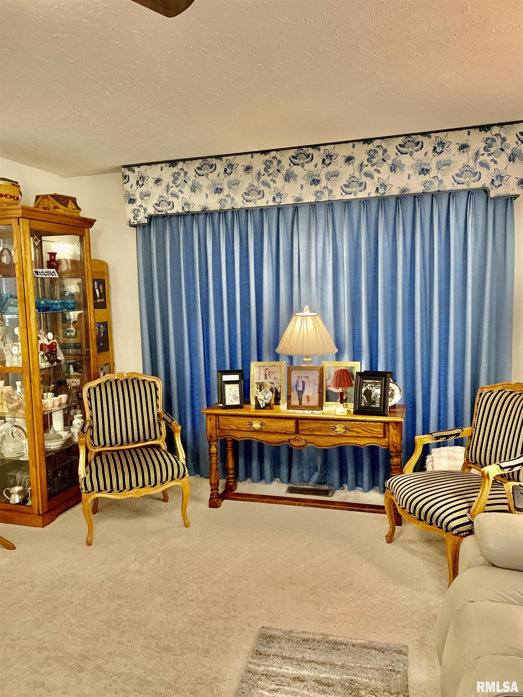 13A Shenandoah Street, Jacksonville, Illinois image 13