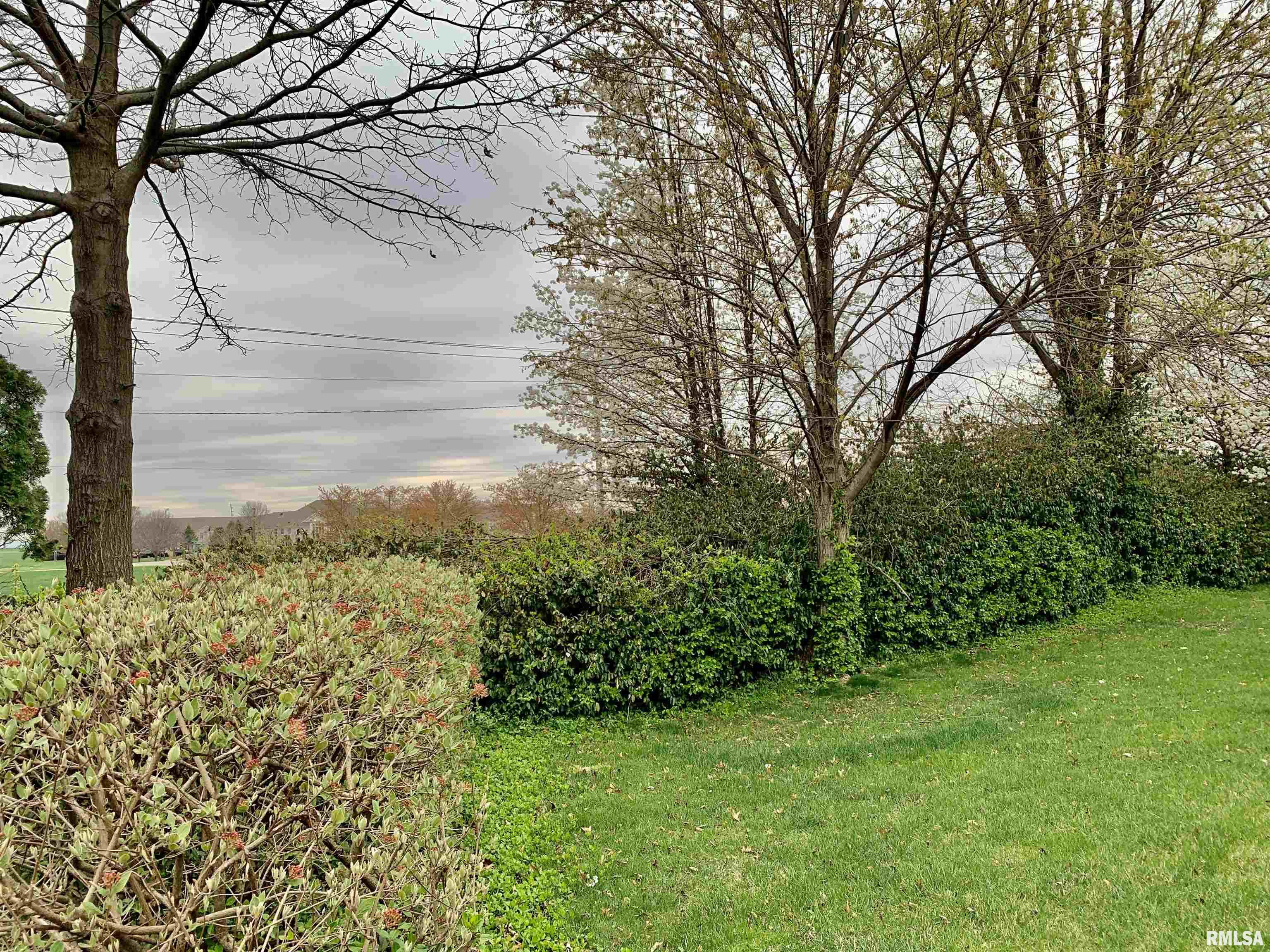 13A Shenandoah Street, Jacksonville, Illinois image 9