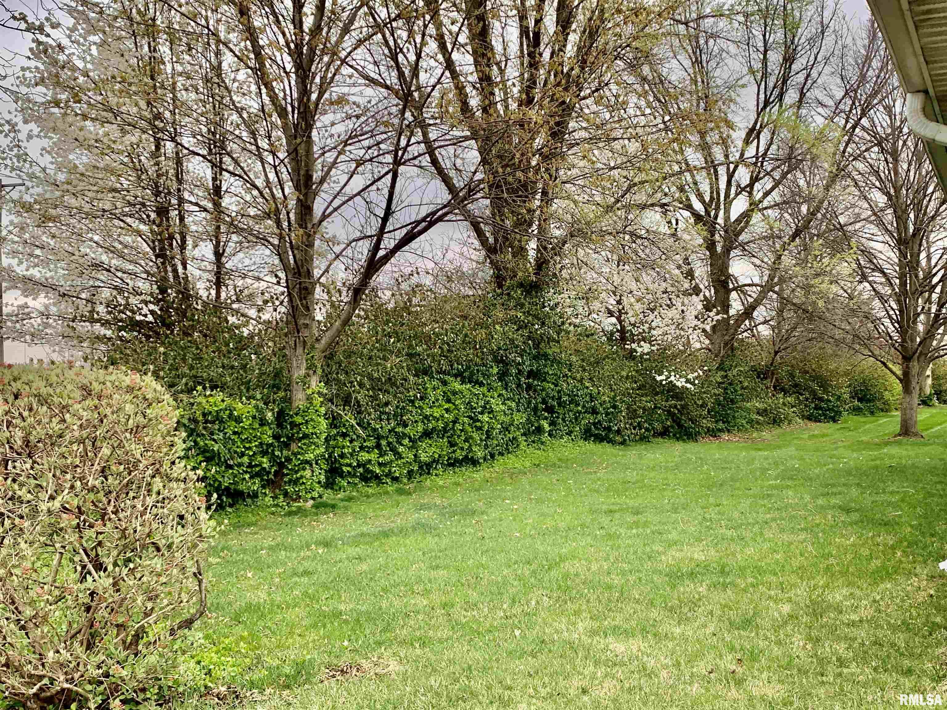 13A Shenandoah Street, Jacksonville, Illinois image 7