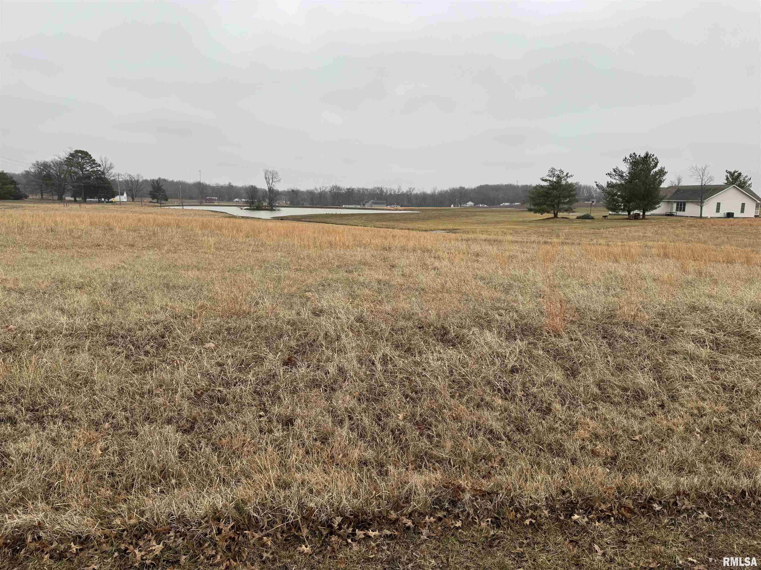 Lot 13 Dove Lane, Eldorado, Illinois image 2