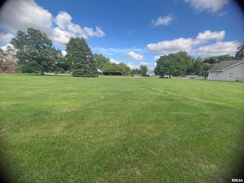 Vacant Land For Sale - 501-503 Pierce Street<br/> Tazewell County, Morton, IL 61550