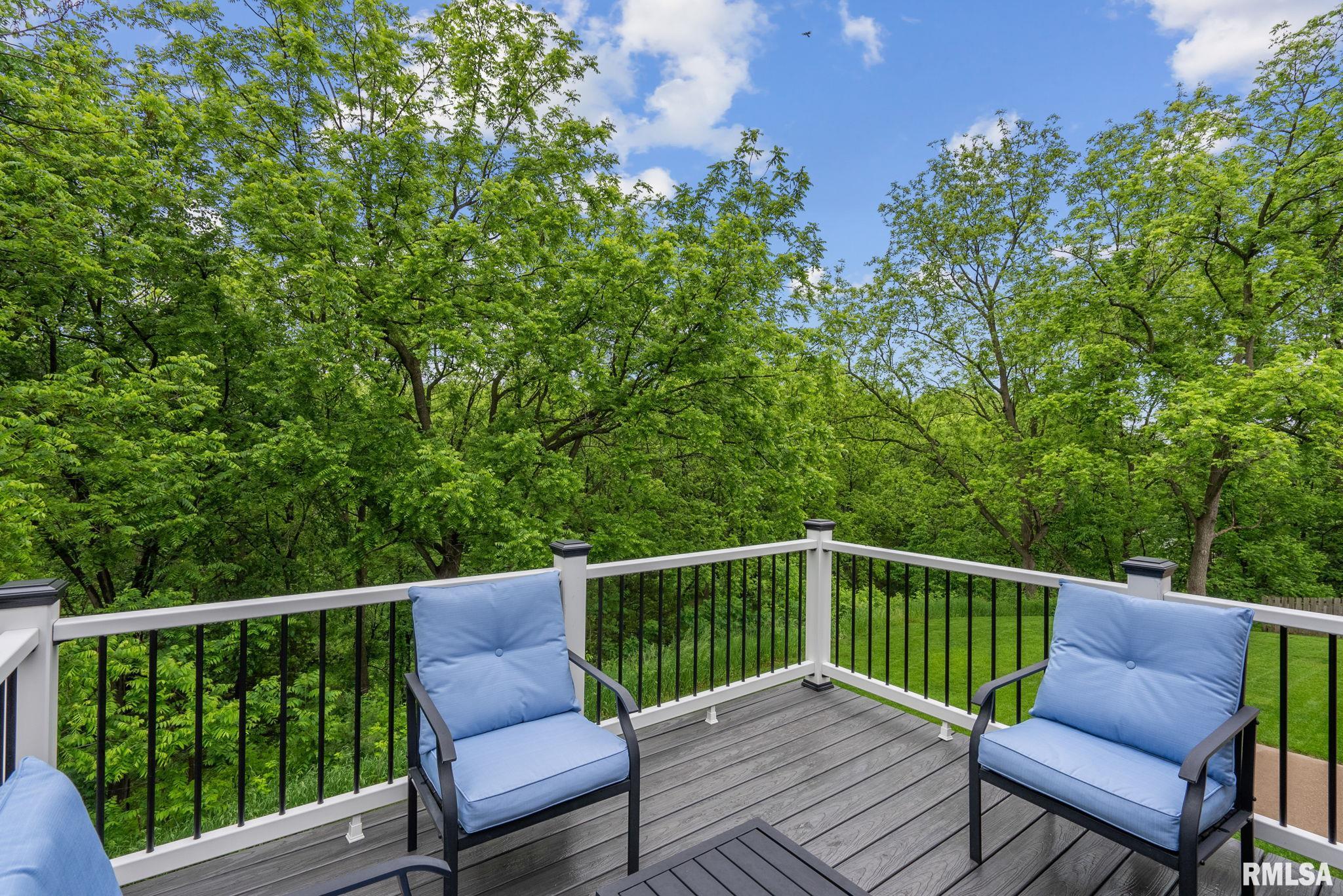 1439 Zenith Court, Davenport, Iowa image 28