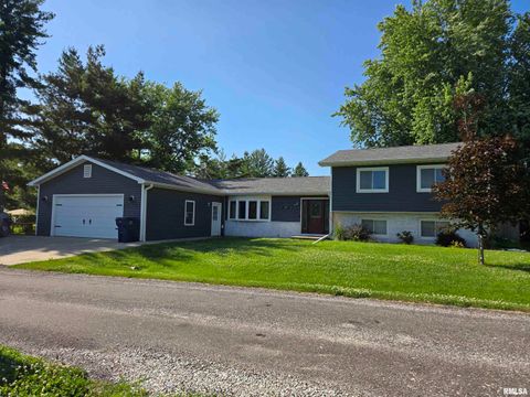 Homes For Sale - 102 Conch Drive<br/> La Harpe, IL 61450