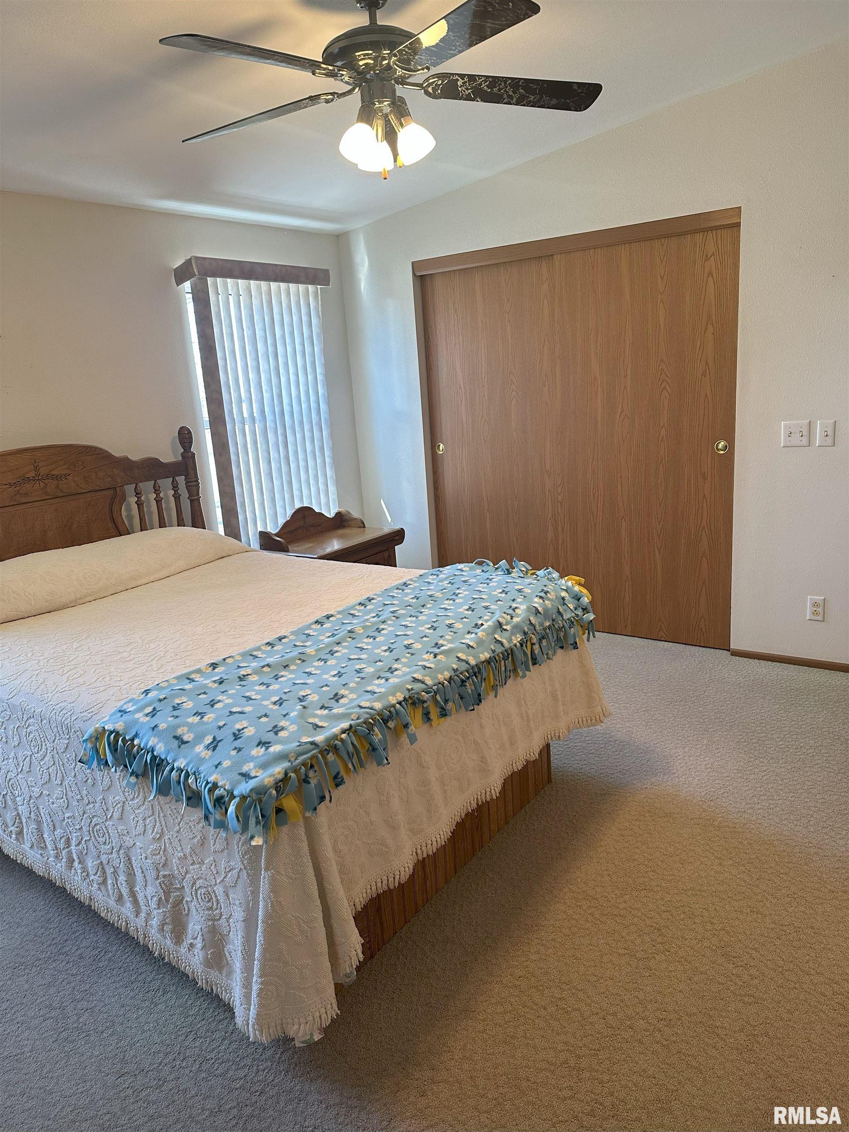 206 Clayton St, Benson, Illinois image 13