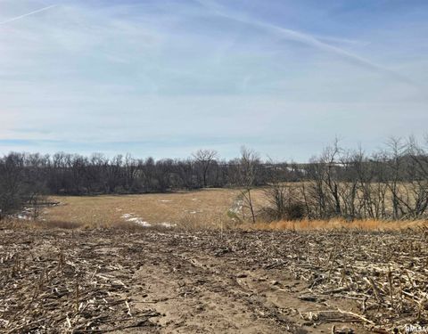 Vacant Land For Sale - 2460 N County Road 2500 E Road<br/> La Harpe, IL 61450