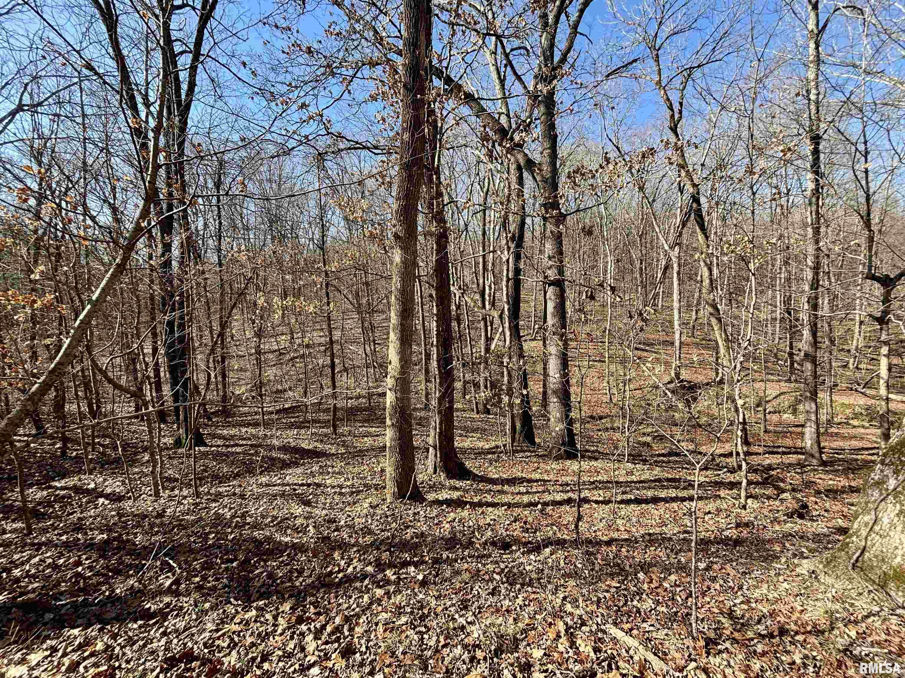 000 Minerva Road, Cave In Rock, Illinois image 10