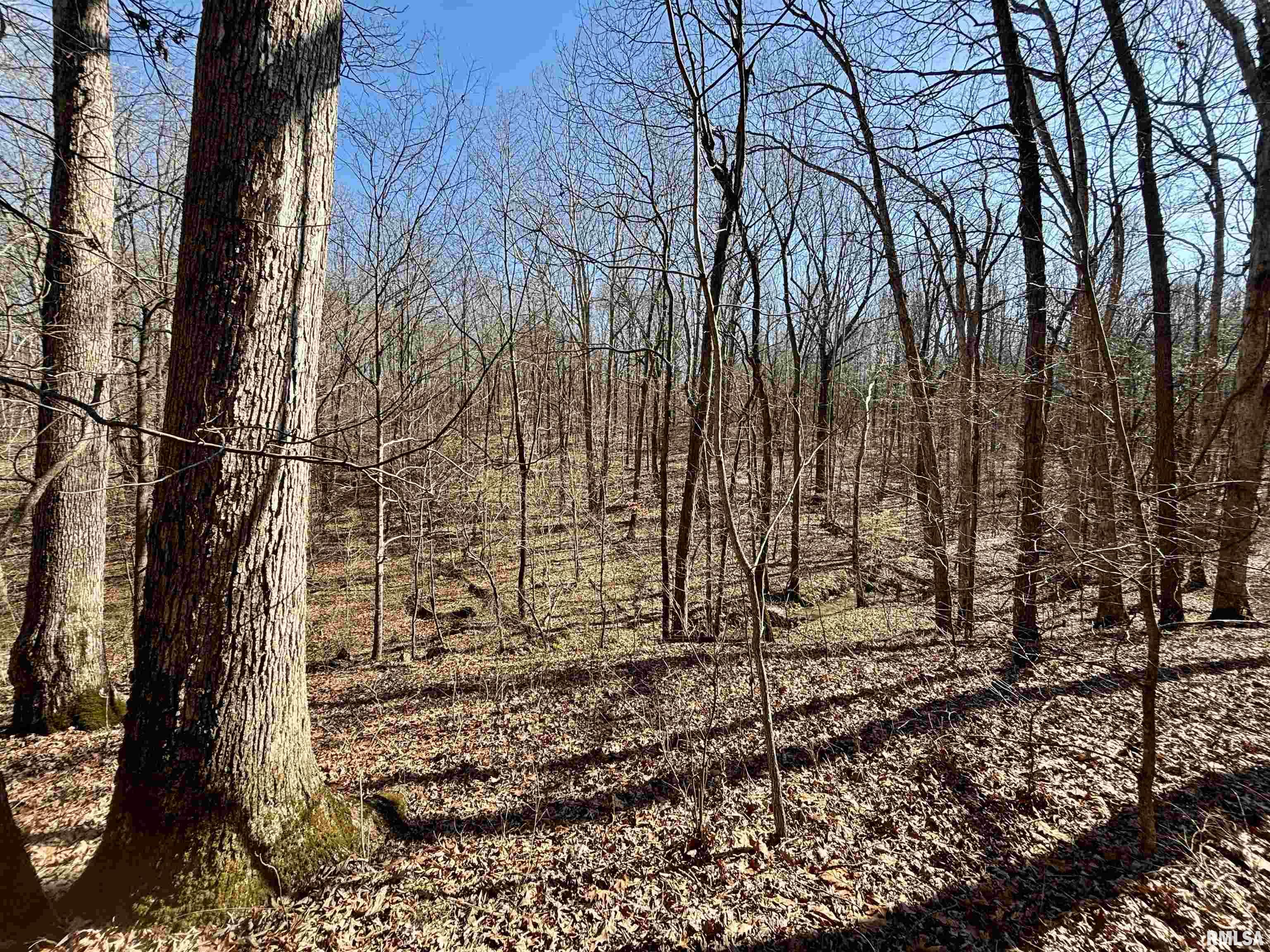 000 Minerva Road, Cave In Rock, Illinois image 12