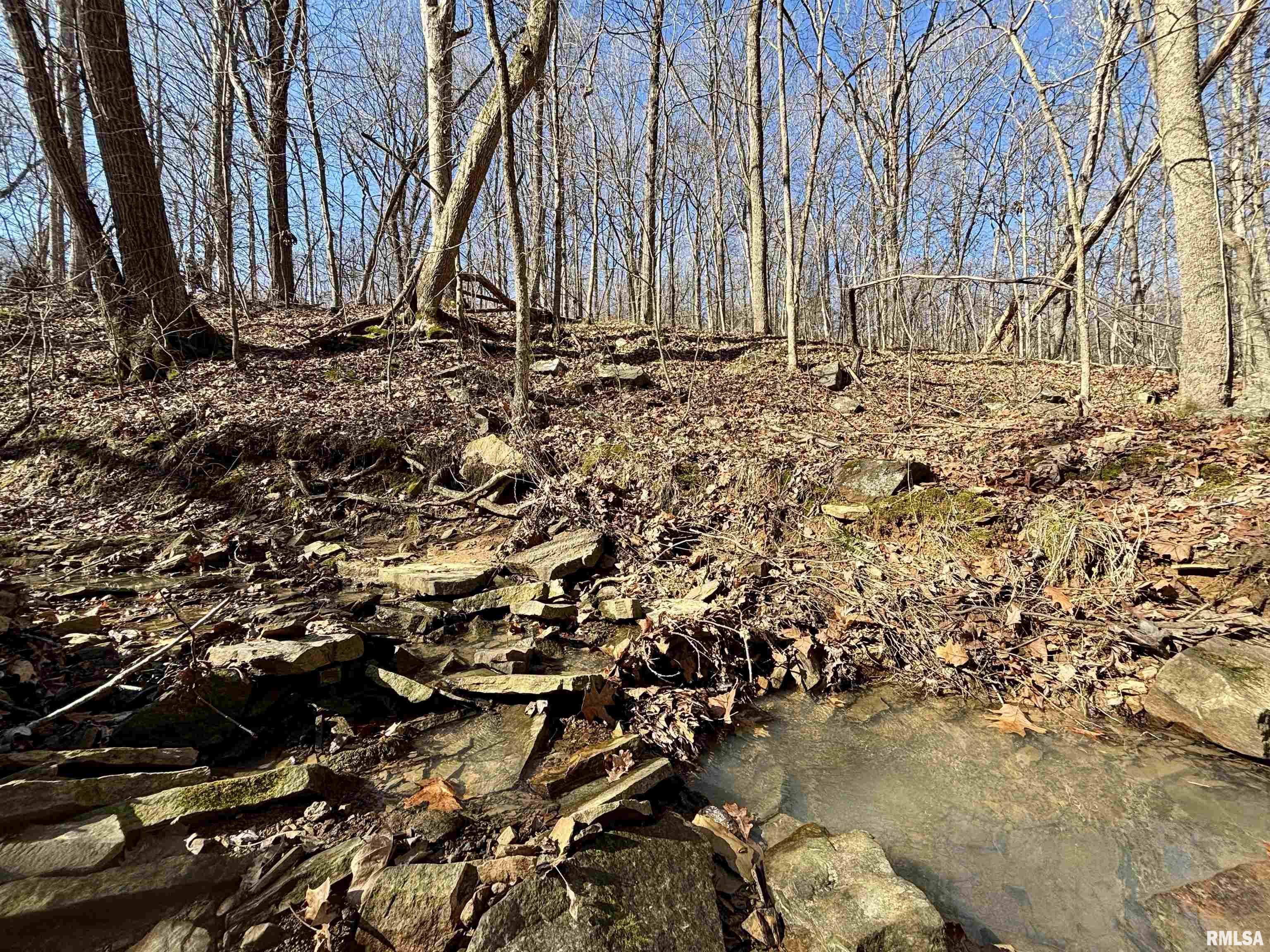 000 Minerva Road, Cave In Rock, Illinois image 11