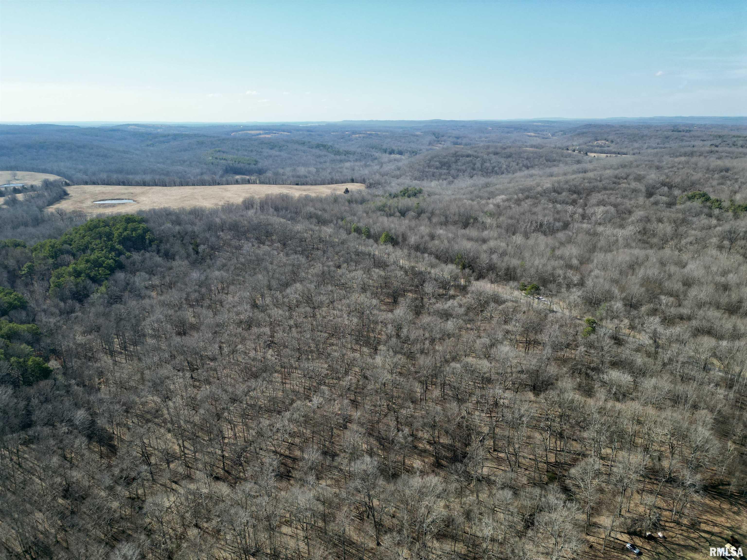 000 Minerva Road, Cave In Rock, Illinois image 1