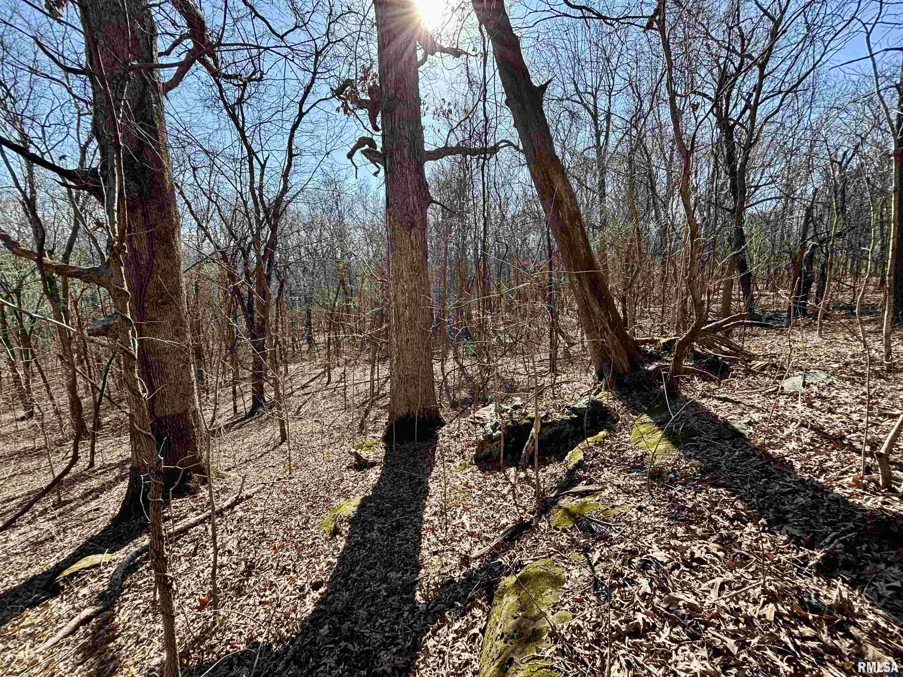 000 Minerva Road, Cave In Rock, Illinois image 13