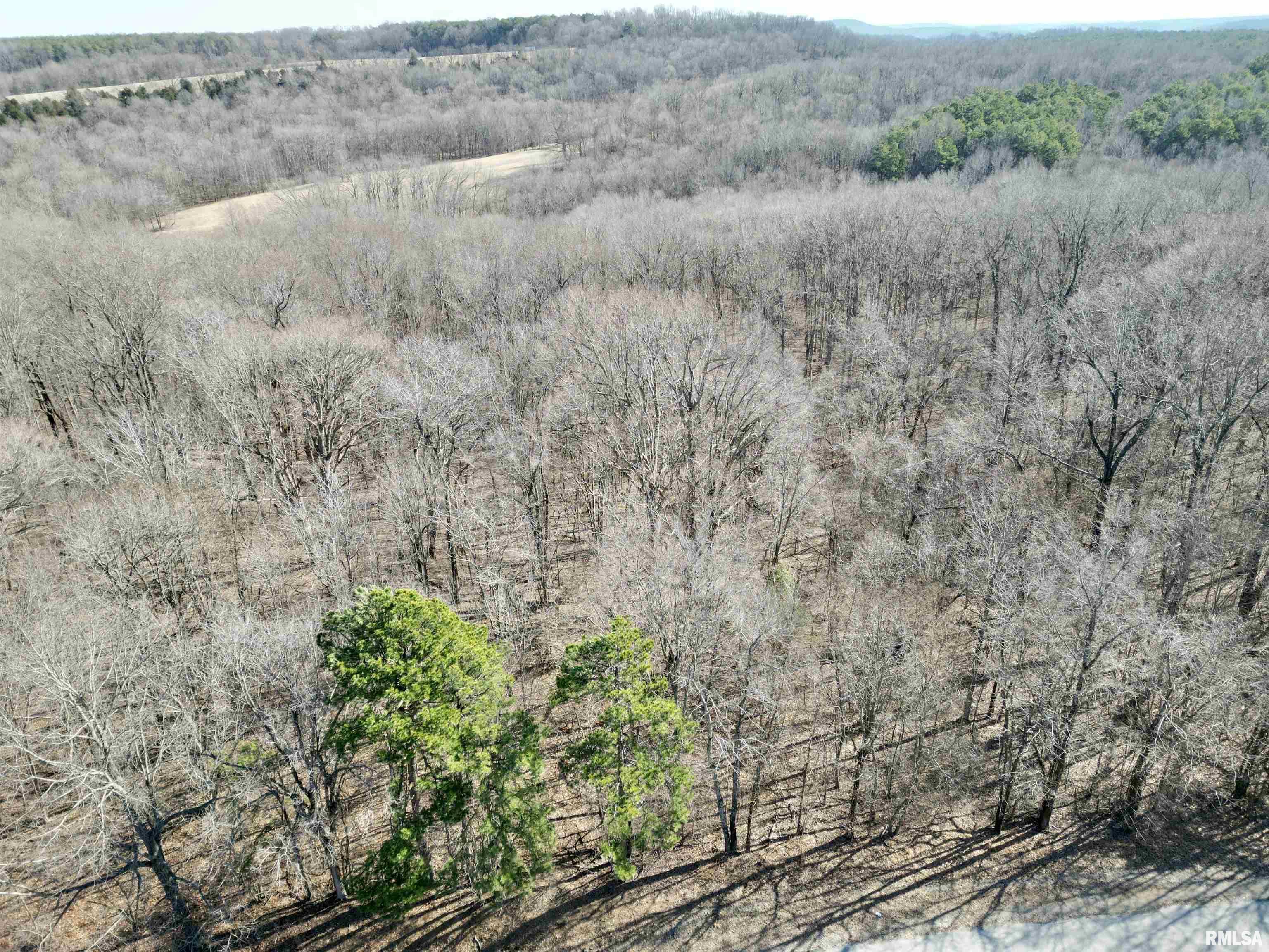 000 Minerva Road, Cave In Rock, Illinois image 2